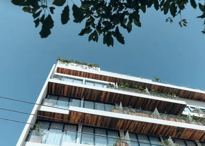 Calixta Hotel 4*