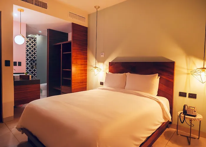 Hotel Calixta