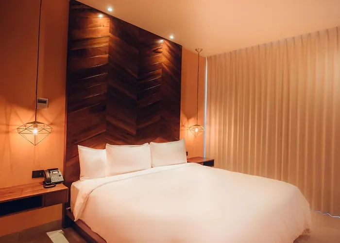 Hotel Calixta